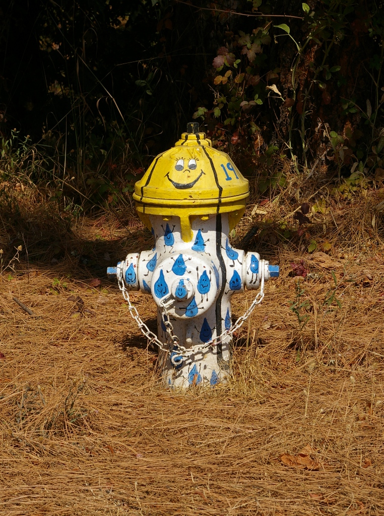 hydrant-tear